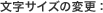 文字サイズの変更