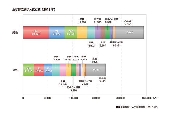 主な部位別がん死亡数（2013年）