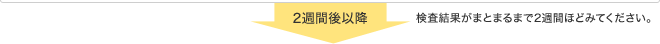 2週間後以降　検査結果がまとまるまで2週間ほどみてください。