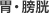 胃・膀胱