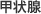 甲状腺