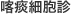 喀痰細胞診