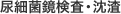 尿細菌鏡検査・沈渣
