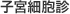 子宮細胞診