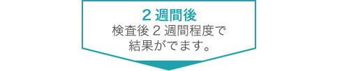 中之島クリニック検査フロー図