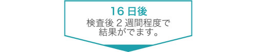御池クリニック検査フロー図