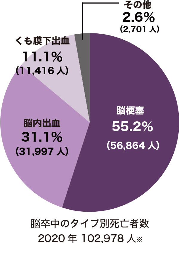 脳卒中のタイプ別死亡者数 2020　102,978人