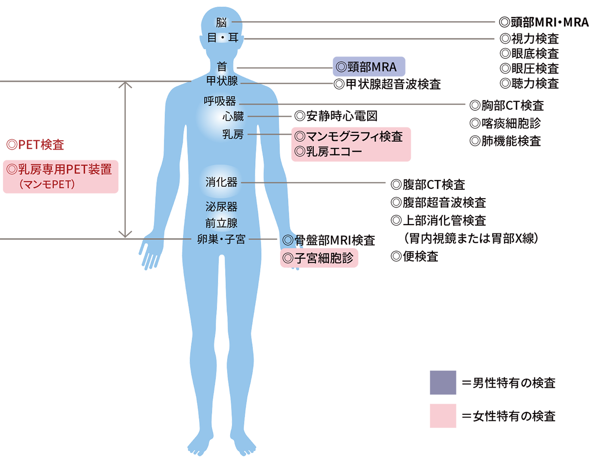 検査項目