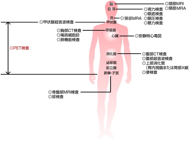 検査項目図